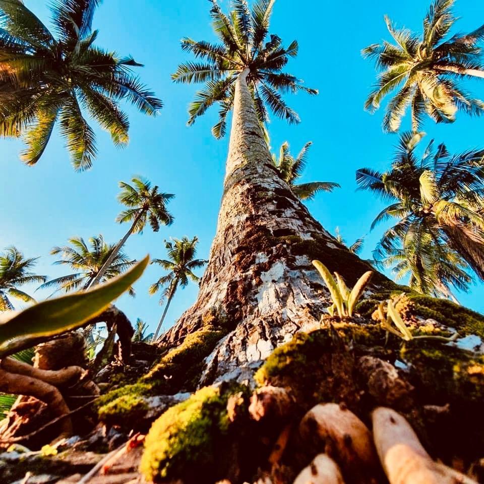 Suan Maprao Ko Kut Resort المظهر الخارجي الصورة