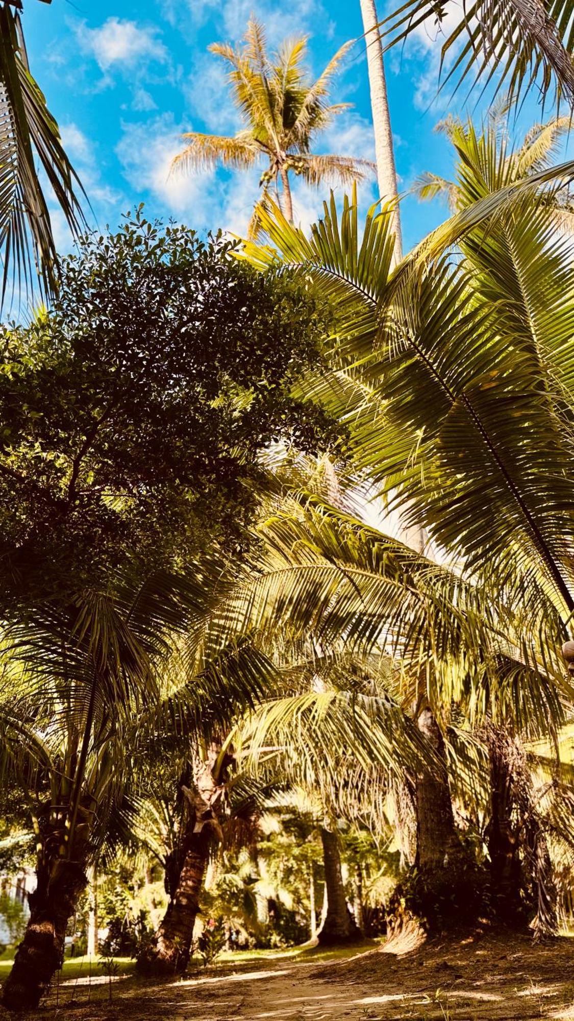 Suan Maprao Ko Kut Resort المظهر الخارجي الصورة