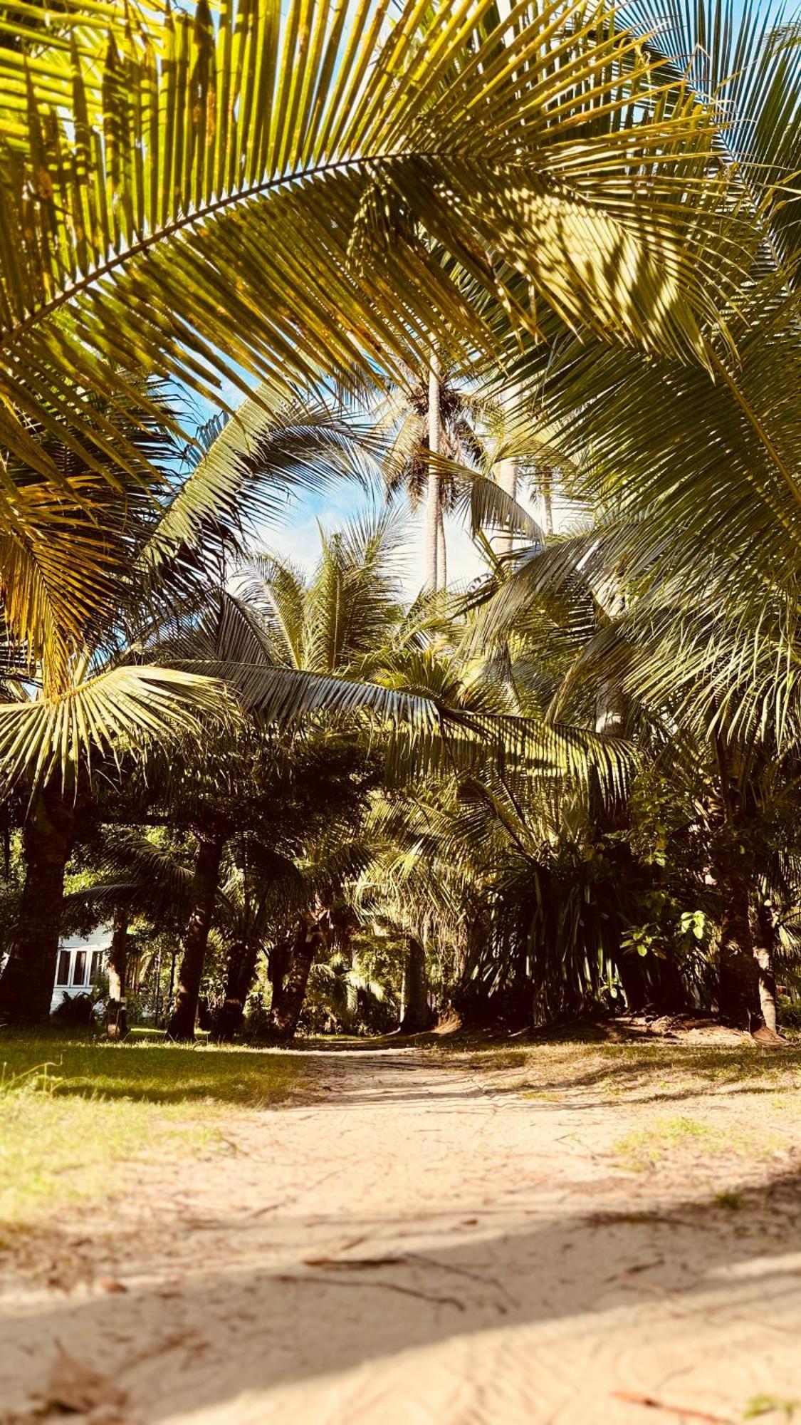 Suan Maprao Ko Kut Resort المظهر الخارجي الصورة